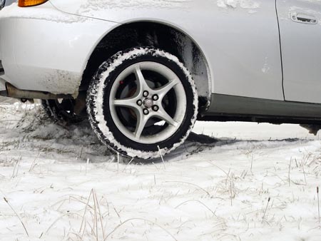 Cely neve 2